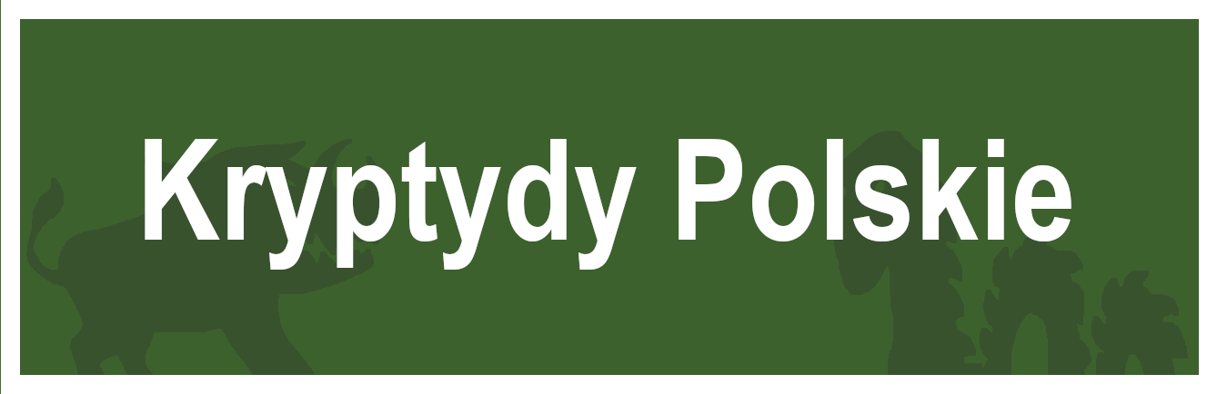 Logo Kryptydy Polskie